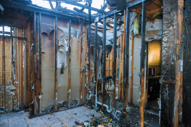 Professional Fire Damage Removal technician working in Odenton, MD